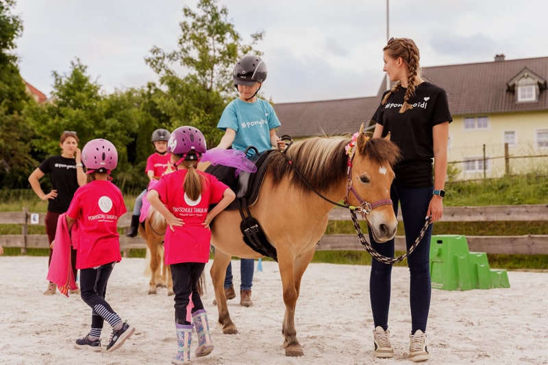 team-pony-concept-ponyschule-wein-min team-pony-concept-ponyschule-wein-min