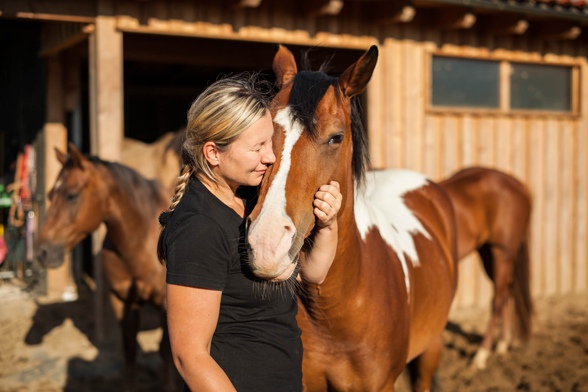 Naturalhorsepower-Tanja-Wein-Regensburg-Bayern